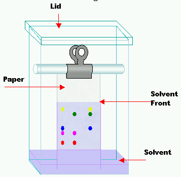 Thin layer chromatography