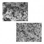 Control of porous properties Influence of the 60% (top) and 64% (bottom) of 1-propanol in the porogenic solvents on the porous properties of monolith