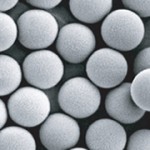 Non-porous particles Non-porous polymer particles