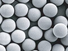 Non-porous particles Non-porous polymer particles