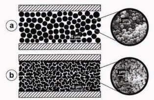 Packed (a) and monolithic (b) chromatographic column