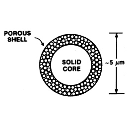Scheme of superficialy porous particle Scheme of superficialy porous particle