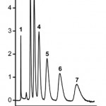 Separation of small molecules with organic polymer monolith Separation of small molecules with organic polymer monolith