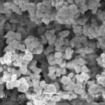 Internal heterogeneity of organic polymer monolith