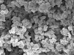 Internal heterogeneity of organic polymer monolith